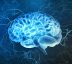 Using neuroscience to understand the bullied brain