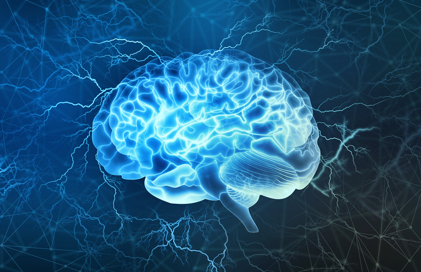 Using Neuroscience to Understand the Bullied Brain